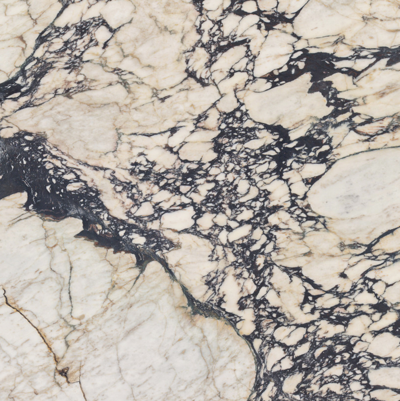 Calacatta Viola Marble from YDL Stone